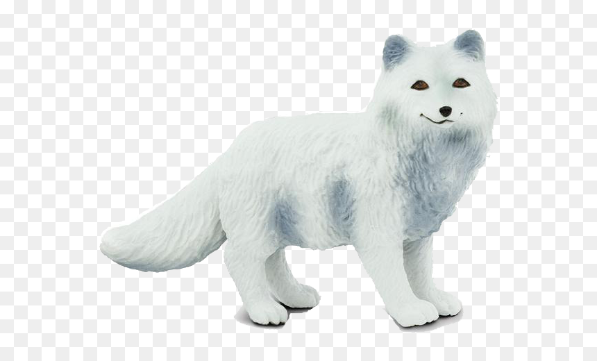 Arctic Fox Png Photo - Arctic Fox, Transparent Png - arctic fox png