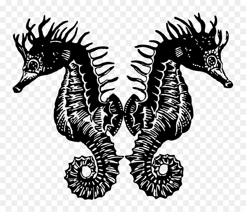 Stencil Caballito De Mar, HD Png Download - sea horse png