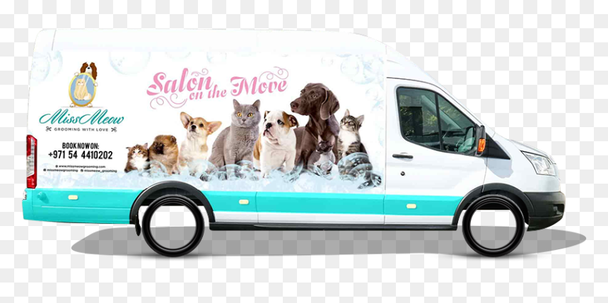 A Closer Look At 3 Of Miss Meow"s Services - Miss Meow Grooming Dubai, HD Png Download - meow png