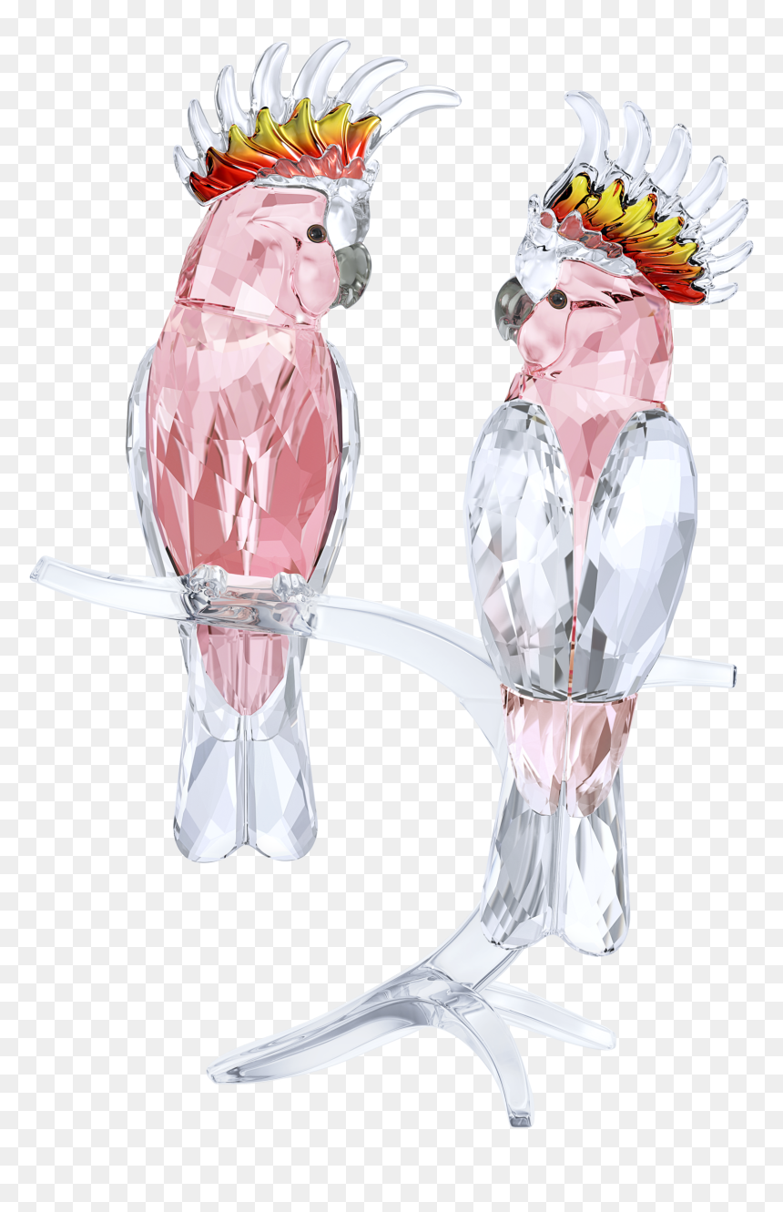 Pink Cockatoos - Swarovski Pink Cockatoo, HD Png Download - cockatoo png