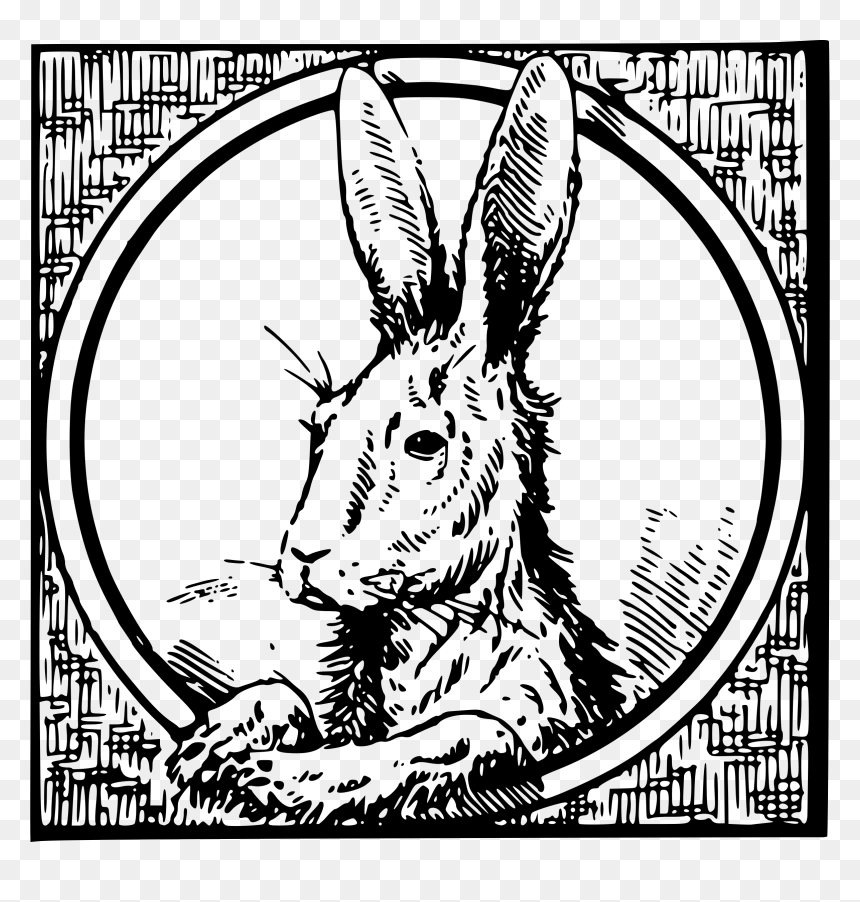 Framed Hare Clip Arts - Engravings, HD Png Download - hare png
