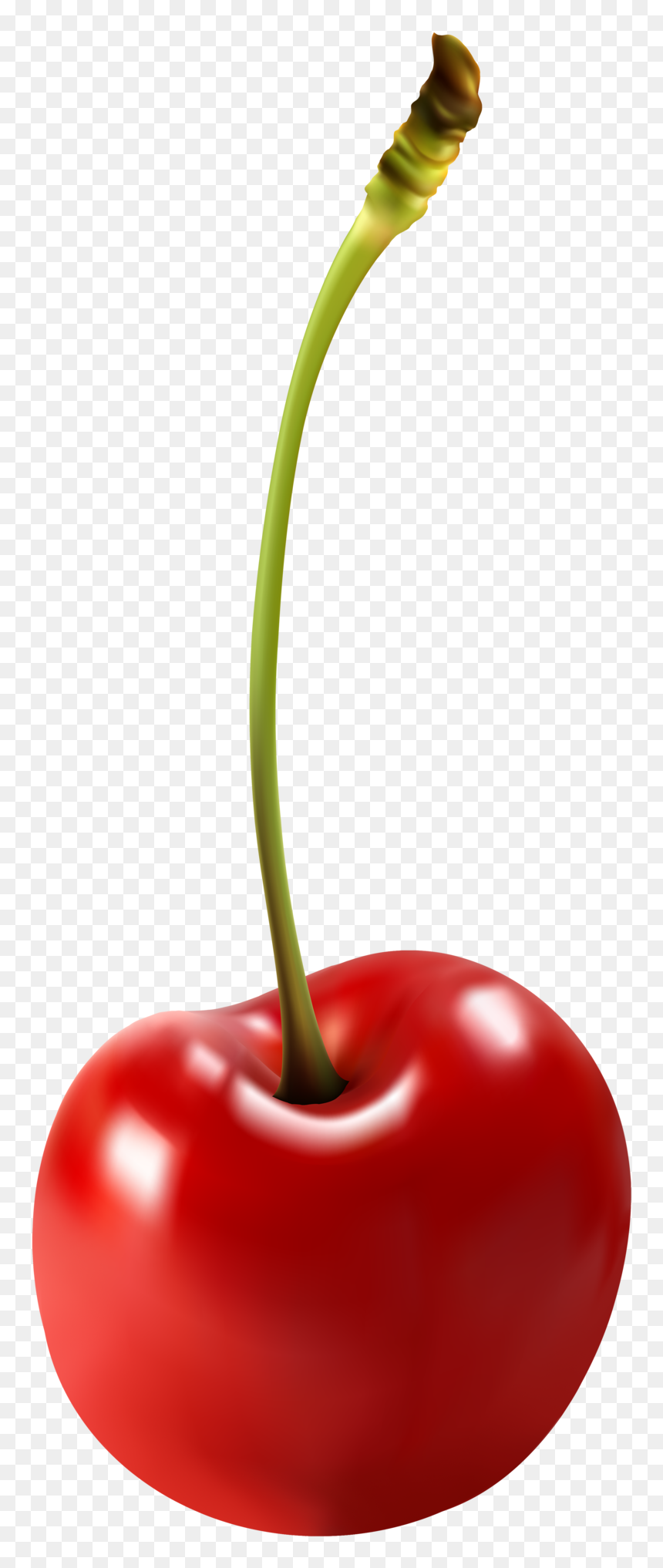 Pin Cherry Clipart Transparen - Transparent Clip Art Cherry Png, Png Download - cherry clipart png
