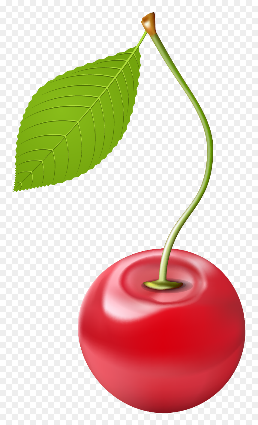 Cherry Clipart Png Image - Cherry, Transparent Png - cherry clipart png