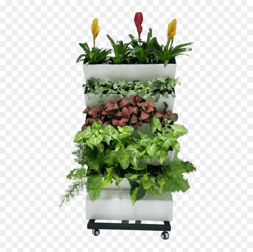 Flowerpot, HD Png Download - office plant png