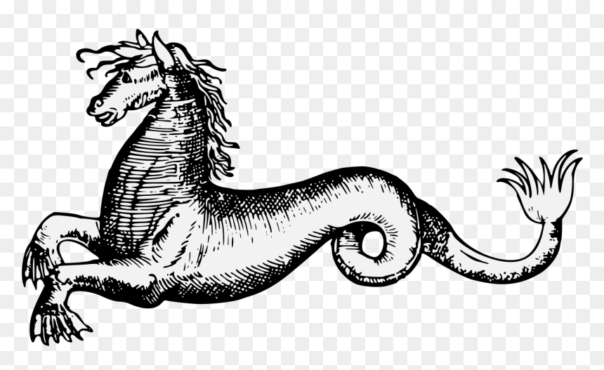 Illustration, HD Png Download - sea horse png