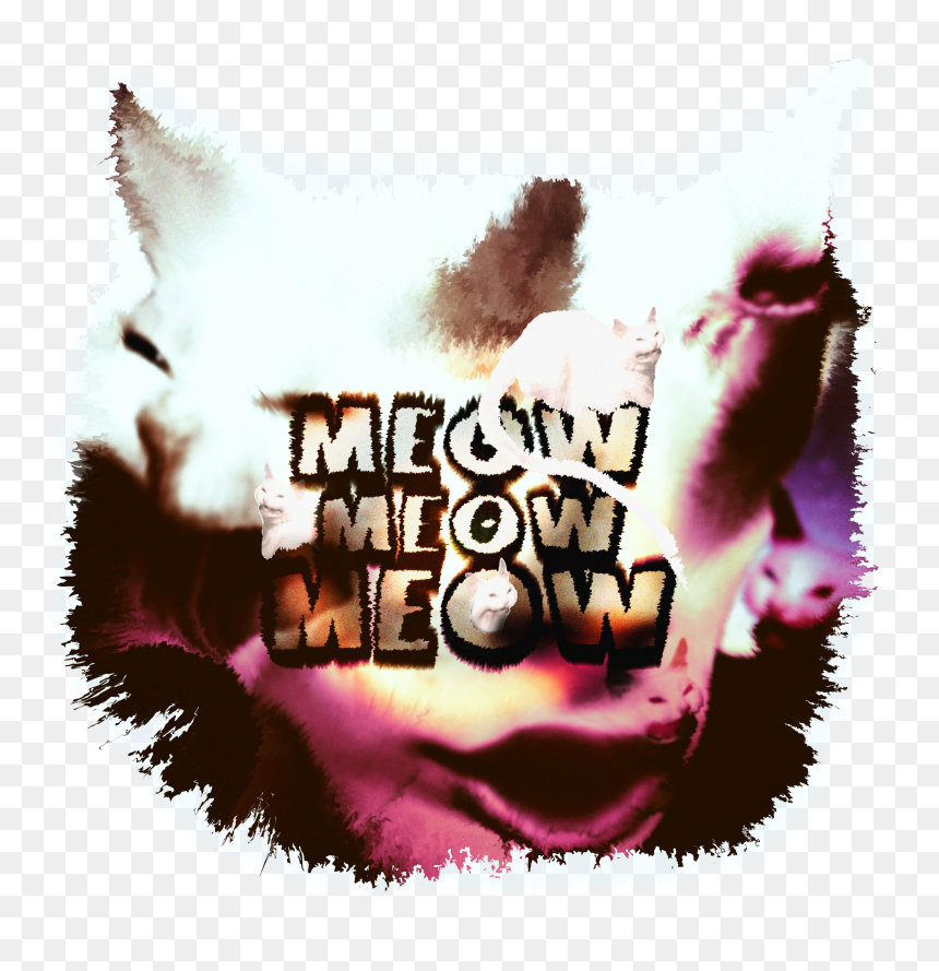 Meow Meow Meow, HD Png Download - meow png