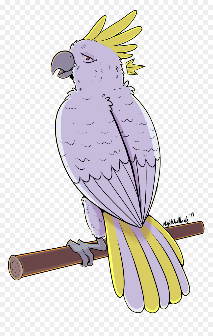 The Quillian Chronicles Wiki - Buzzard, HD Png Download - cockatoo png