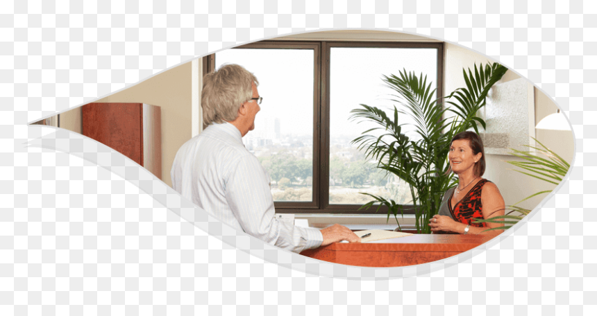 Plant Hire Services - Daylighting, HD Png Download - office plant png