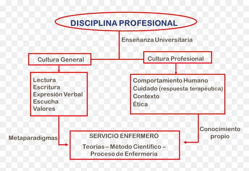 Pe - Diagrama De Proceso Enfermero, HD Png Download - proceso png