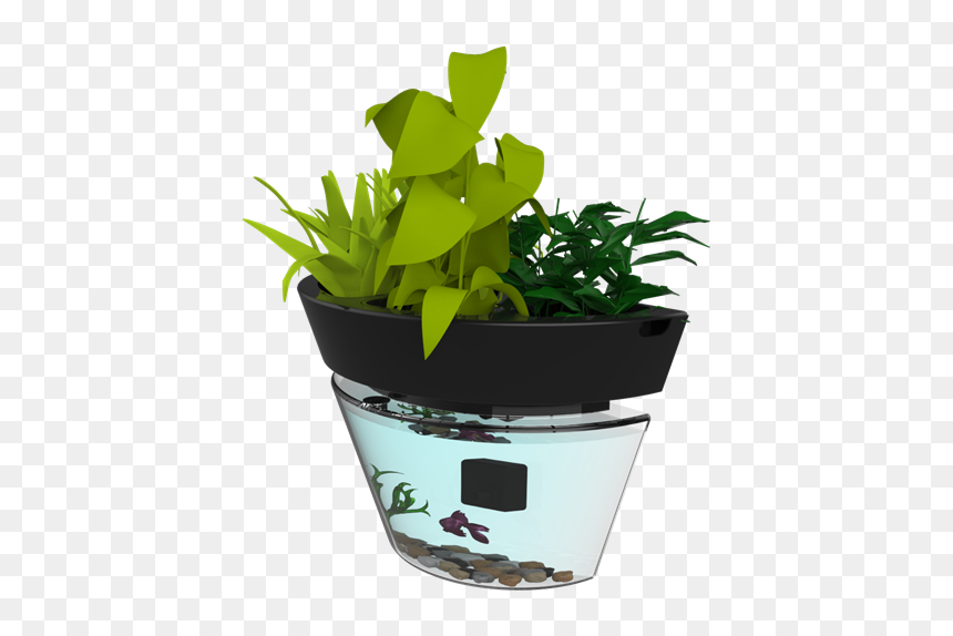 Flowerpot, HD Png Download - office plant png