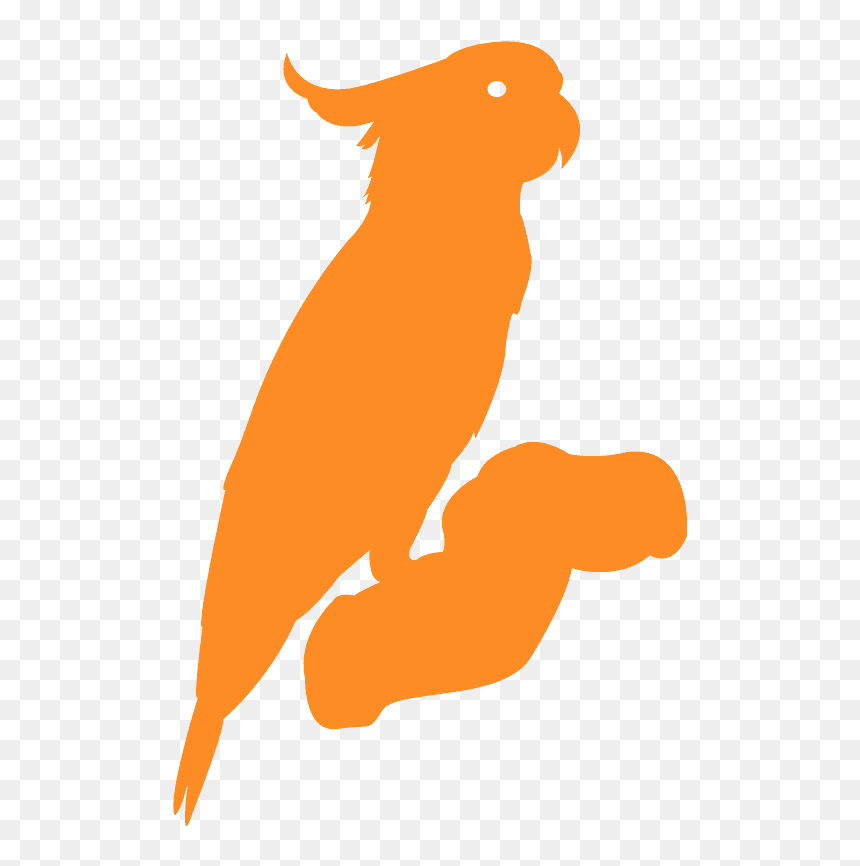 Parrot, HD Png Download - cockatoo png