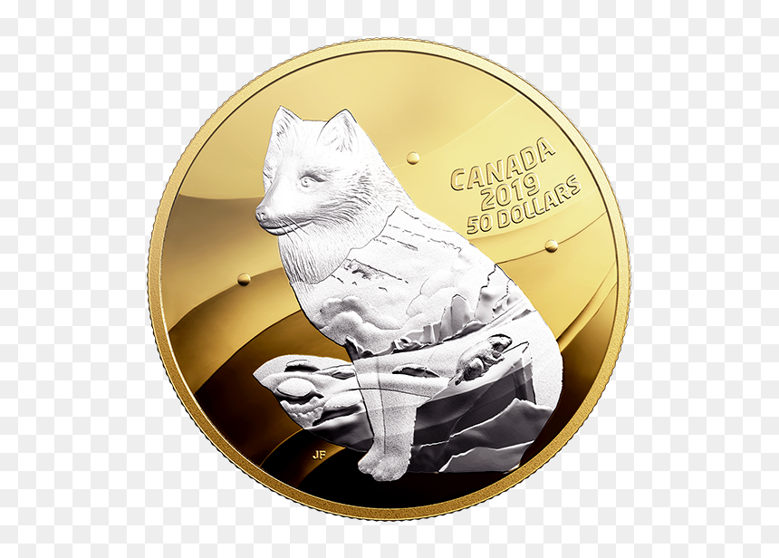 Arctic Fox, HD Png Download - arctic fox png