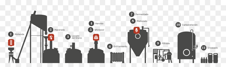 Infografia Proceso Nueva - Illustration, HD Png Download - proceso png