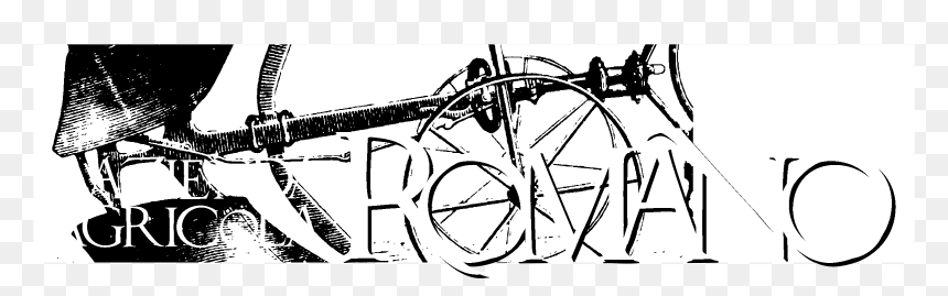 Azienda Agricola Romano Logo Black And White - Drawing, HD Png Download - barbed wire vector png