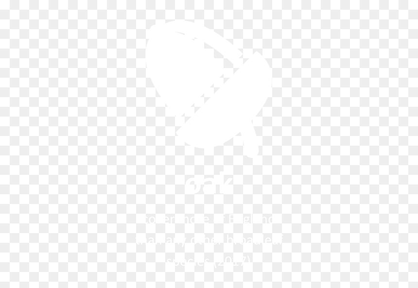 Icon 4 - Feedback, HD Png Download - important icon png