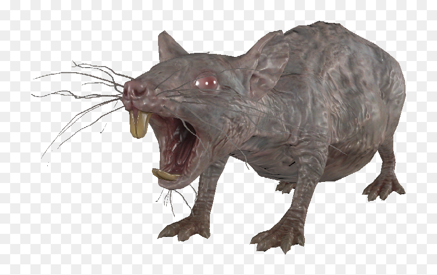 Dlc04 Encradrat01template Smallnormal - Cat Yawns, HD Png Download - rats png