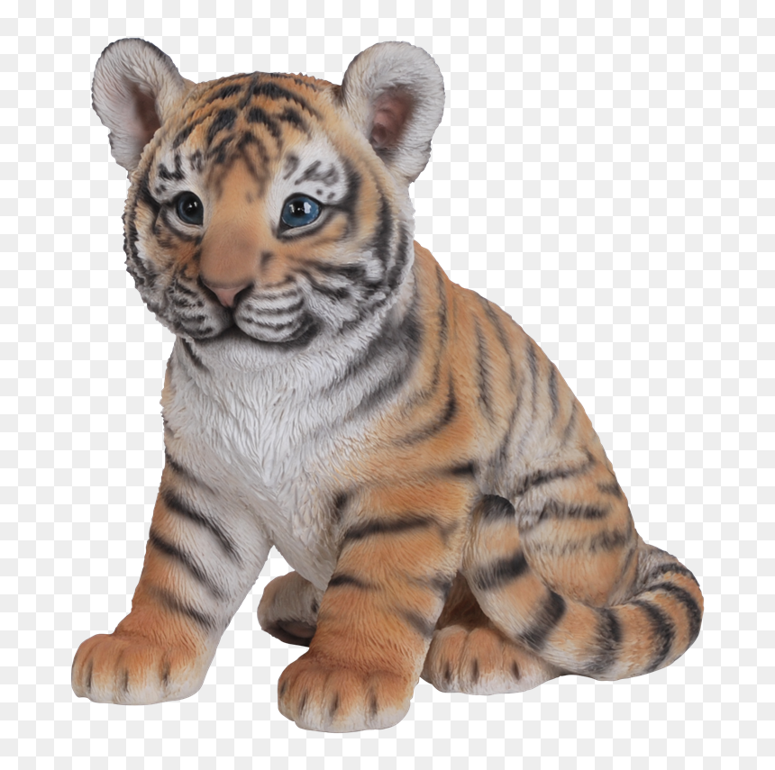 Clip Freeuse Stock Vivid Sitting Cub Resin Garden Ornament - Baby Tiger Png, Transparent Png - baby tiger png