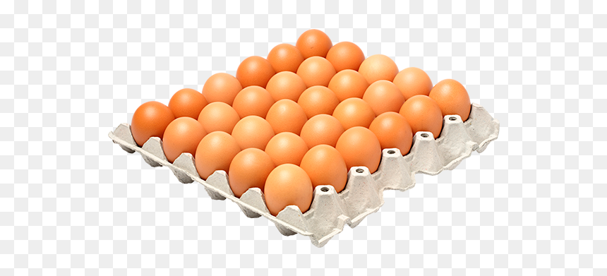Thumb Image - Free Range Eggs 30, HD Png Download - huevo png