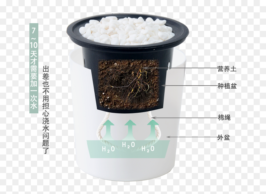 Flowerpot, HD Png Download - office plant png