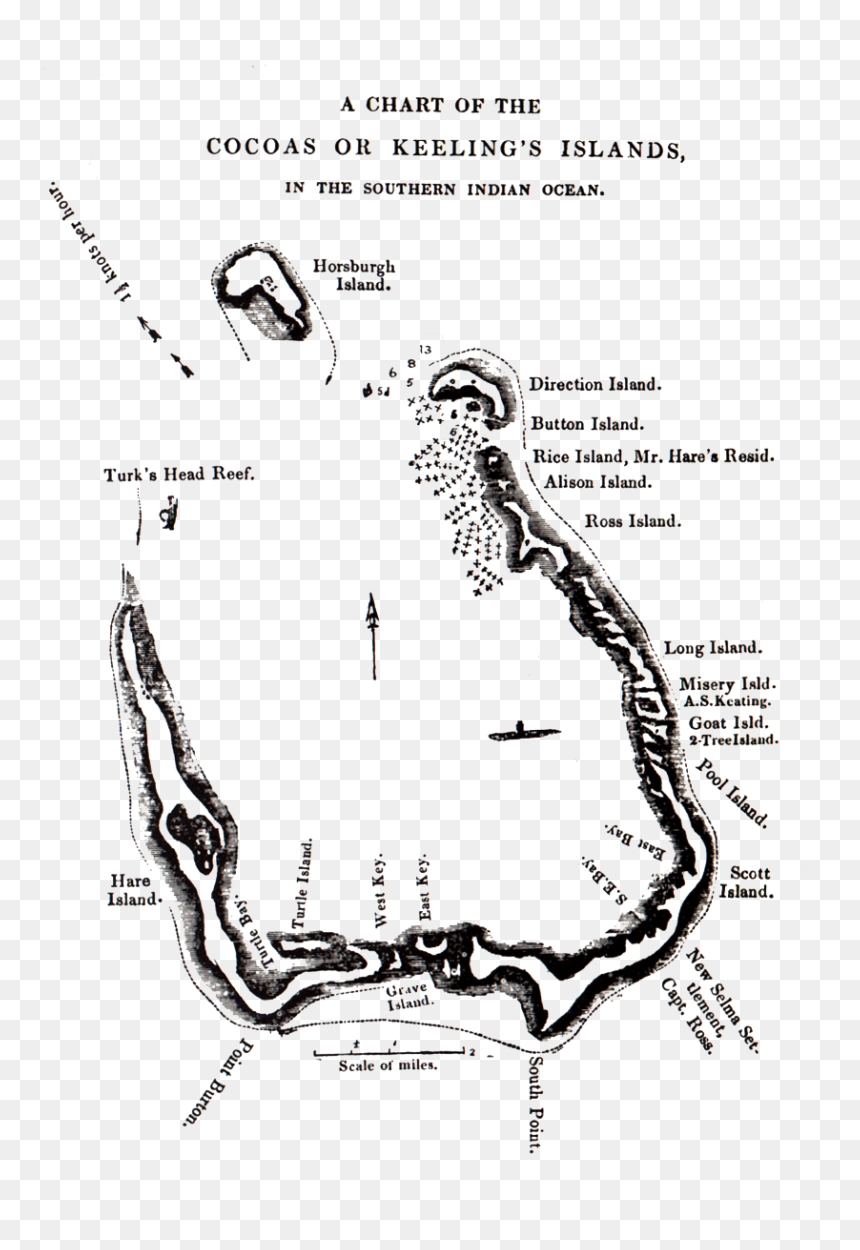 Chart Of Cocos Keeling Islands - Cocos Island Black And White, HD Png Download - hare png