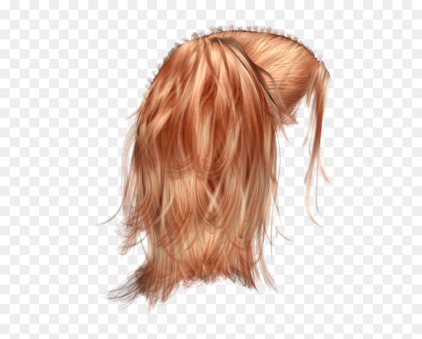 Hair Clipart Crazy Wig - Peluca De Espalda Png, Transparent Png - cabello png