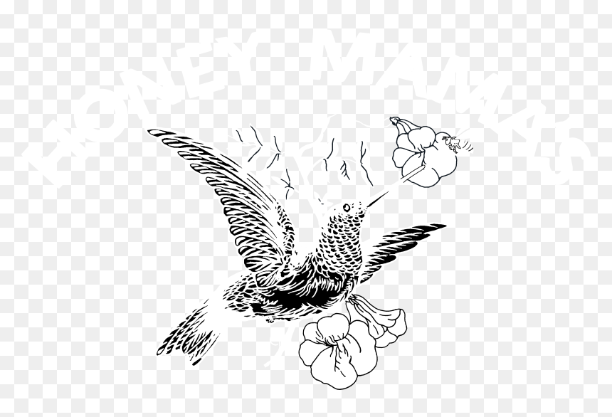 Dark Background Png, Transparent Png - dark background png