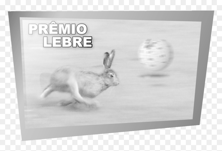 Lebre Ao Merito - Fast Hare, HD Png Download - hare png