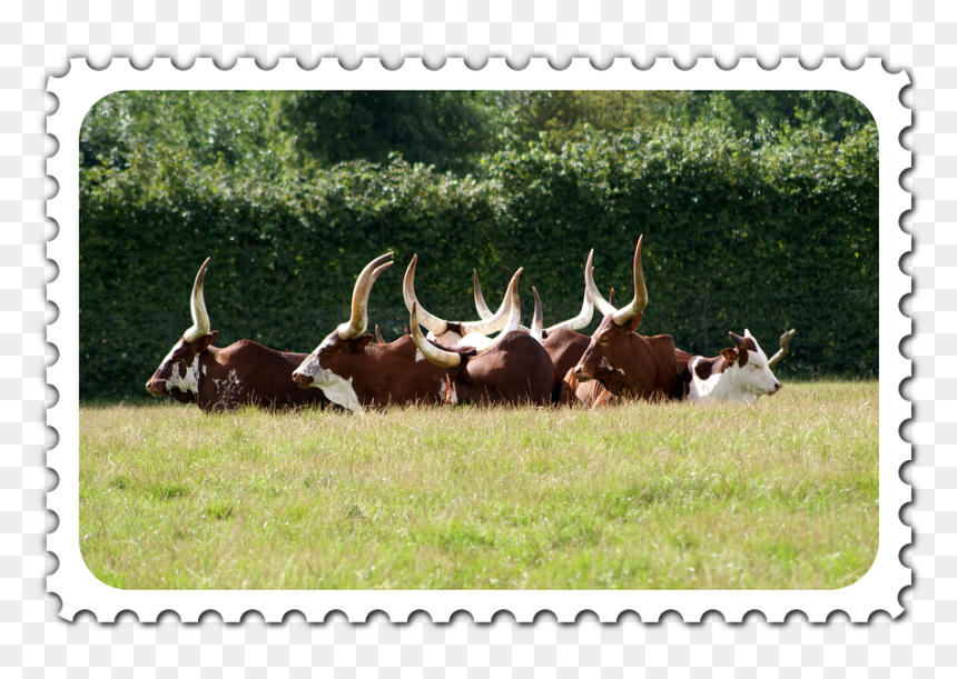 Grass, HD Png Download - travel stamp png