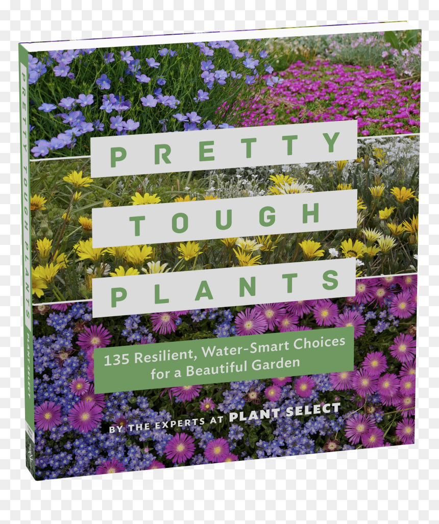 Cover - Pretty Tough Plants: 135 Resilient, Water-smart Choices, HD Png Download - ground cover png