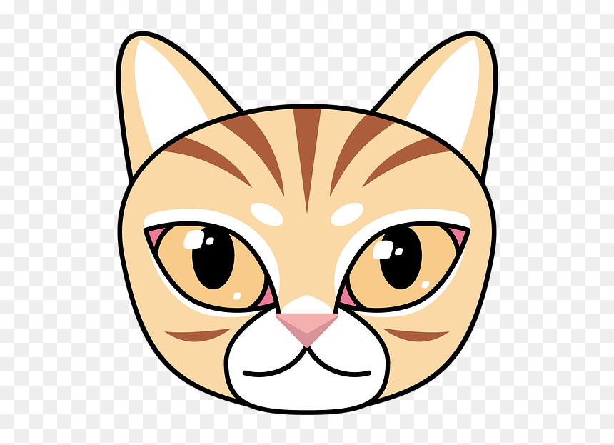 Asian, HD Png Download - tabby cat png
