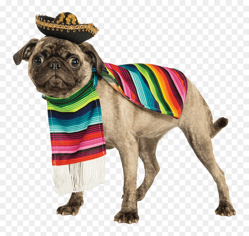 Mexican Costume For Dogs, HD Png Download - mexican poncho png
