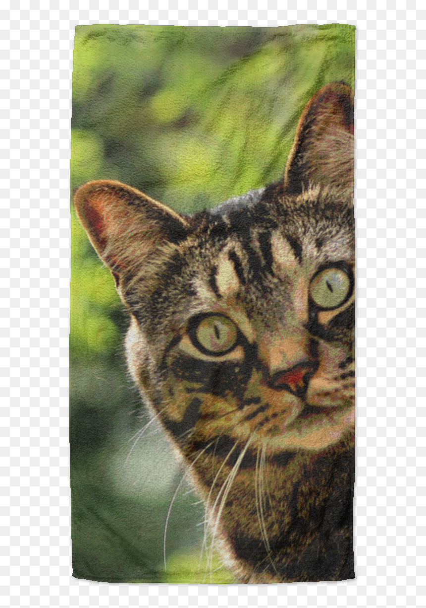 Domestic Short-haired Cat, HD Png Download - tabby cat png