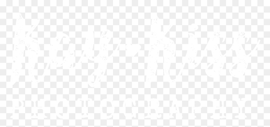 Johns Hopkins Logo White, HD Png Download - sun glow png