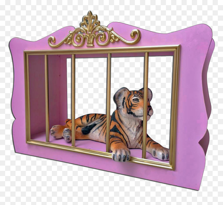 Tiger Cage, Png Download, Transparent Png - baby tiger png