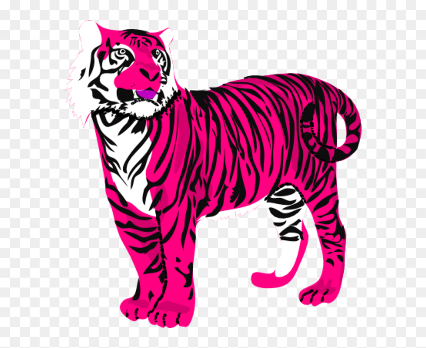 Transparent Baby Tiger Clipart - Transparent Png Tiger Clipart, Png Download - baby tiger png