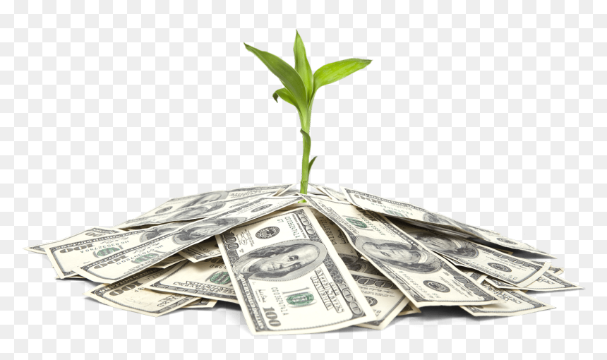Image Credit- Shuttershock, HD Png Download - 100 dollar png