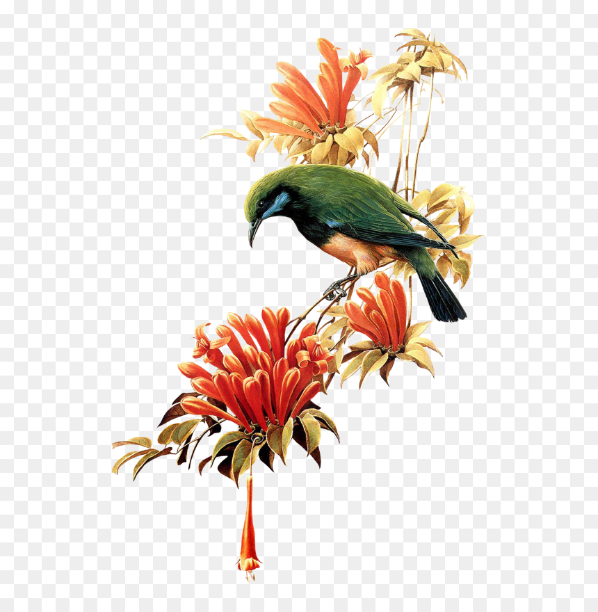 Ramo De Flor Com Pássaro - Beautiful Bird Fly Transparent, HD Png Download - ramo de flores png