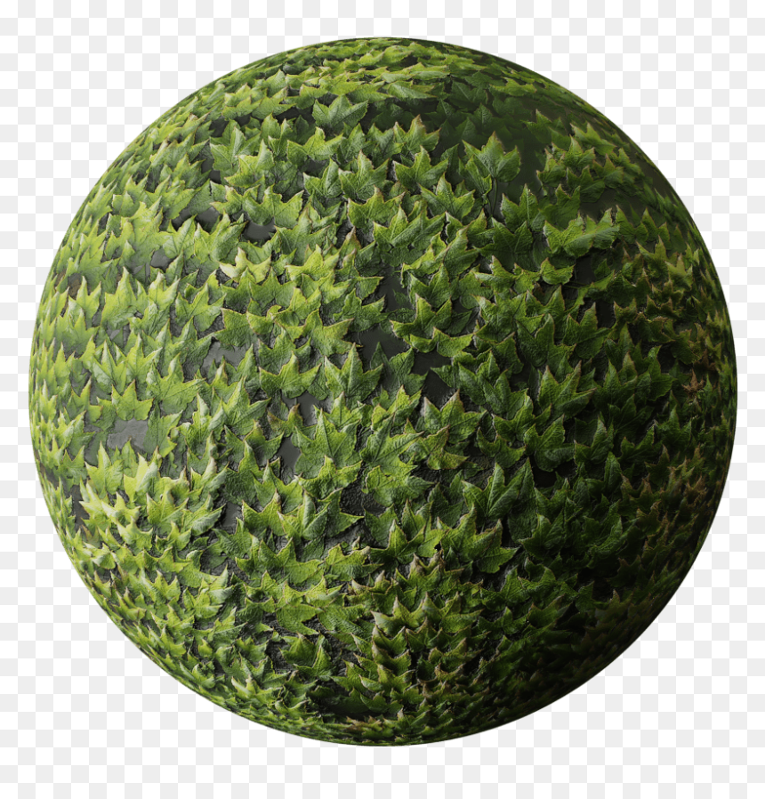 Circle, HD Png Download - ground cover png