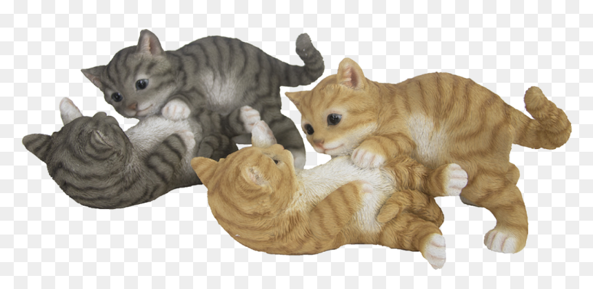 Cats Playing Ass - Tabby Cat, HD Png Download - tabby cat png