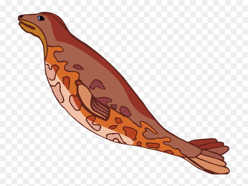 Seal Swimming Cliparts - Seal Cartoon Swimming Png, Transparent Png - swimming clipart png