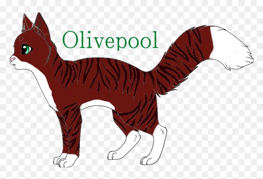 Squitten, HD Png Download - tabby cat png