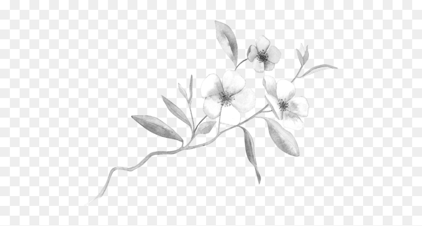 Buttercup, HD Png Download - dust particles texture png