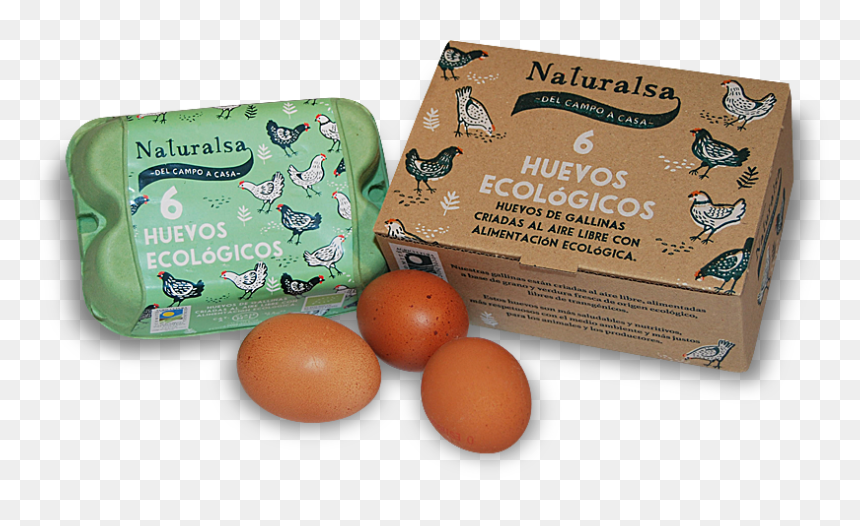 Kiwifruit, HD Png Download - huevo png
