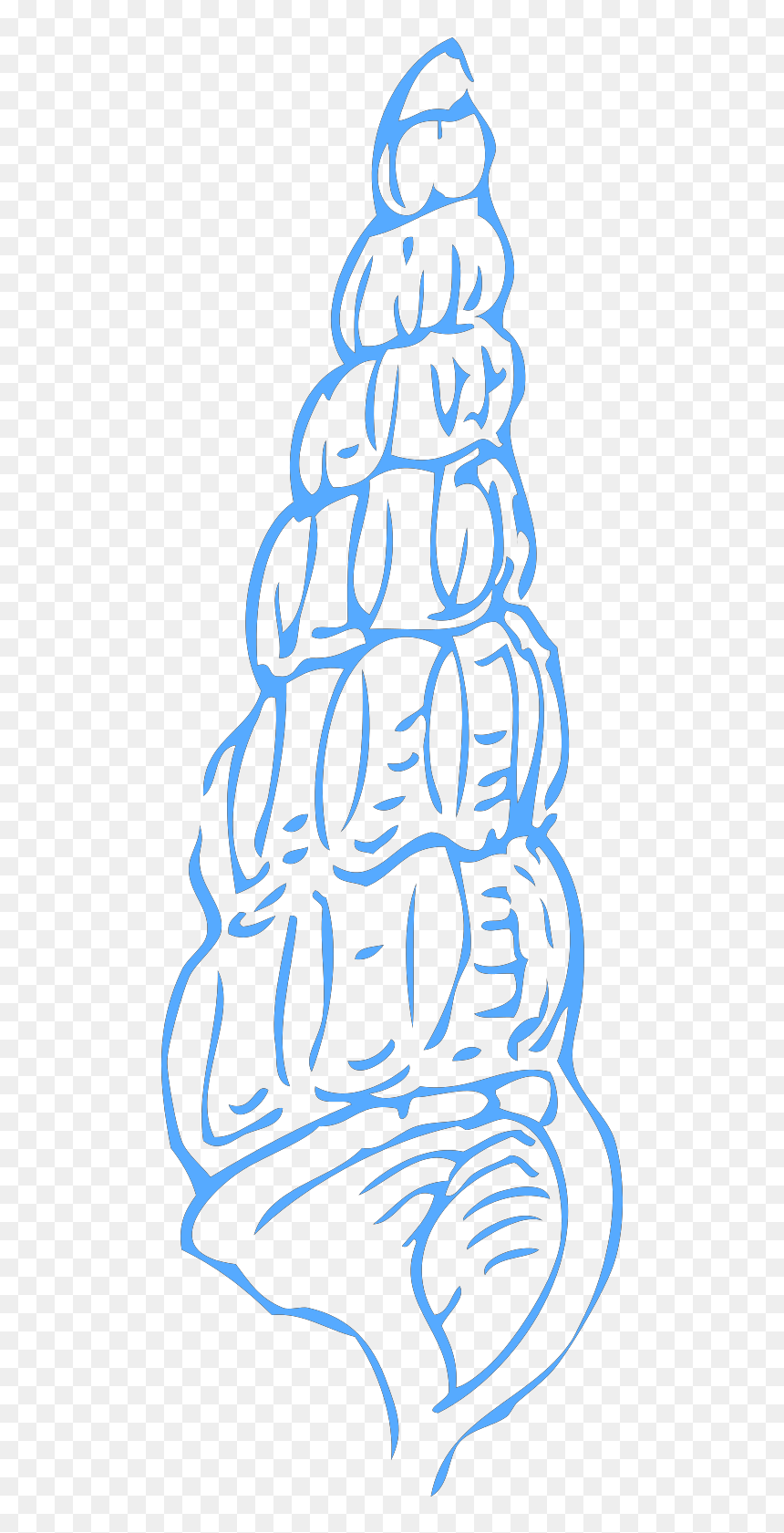 Shells Outline Black And White, HD Png Download - shell clipart png