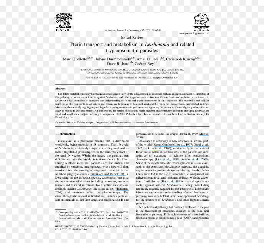 Evidence Of Free Education, HD Png Download - moño de luto png