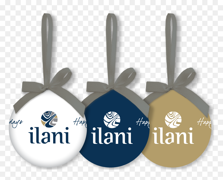Label, HD Png Download - holiday ornaments png