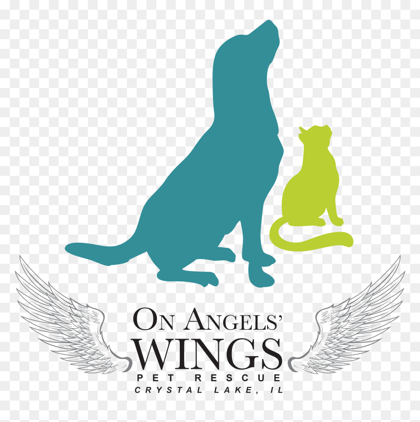 Angels Wings Crystal Lake , Png Download - Illustration, Transparent Png - angels wings png
