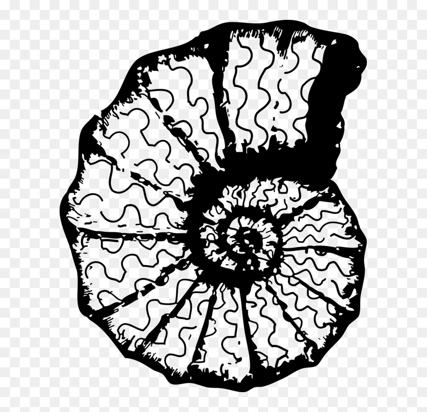 Monochrome Plant - Sea Shell Clip Art, HD Png Download - shell clipart png