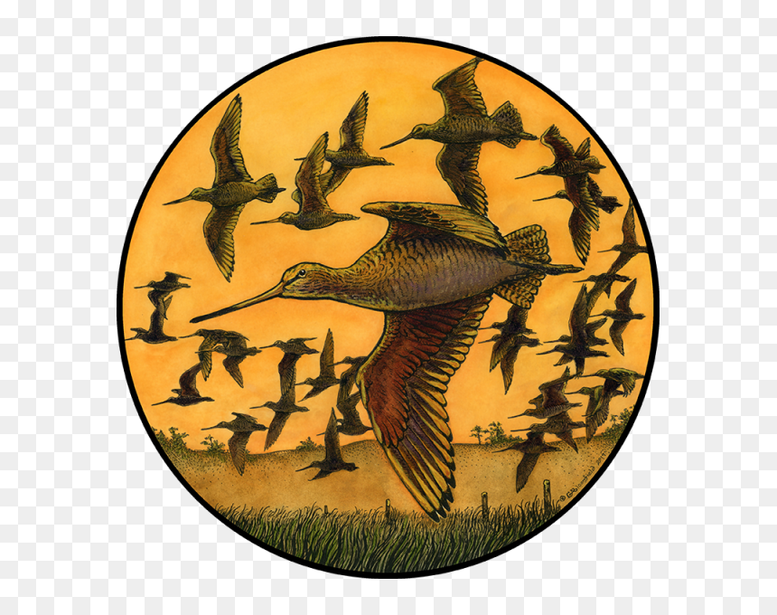 Flock, HD Png Download - pouring wine png