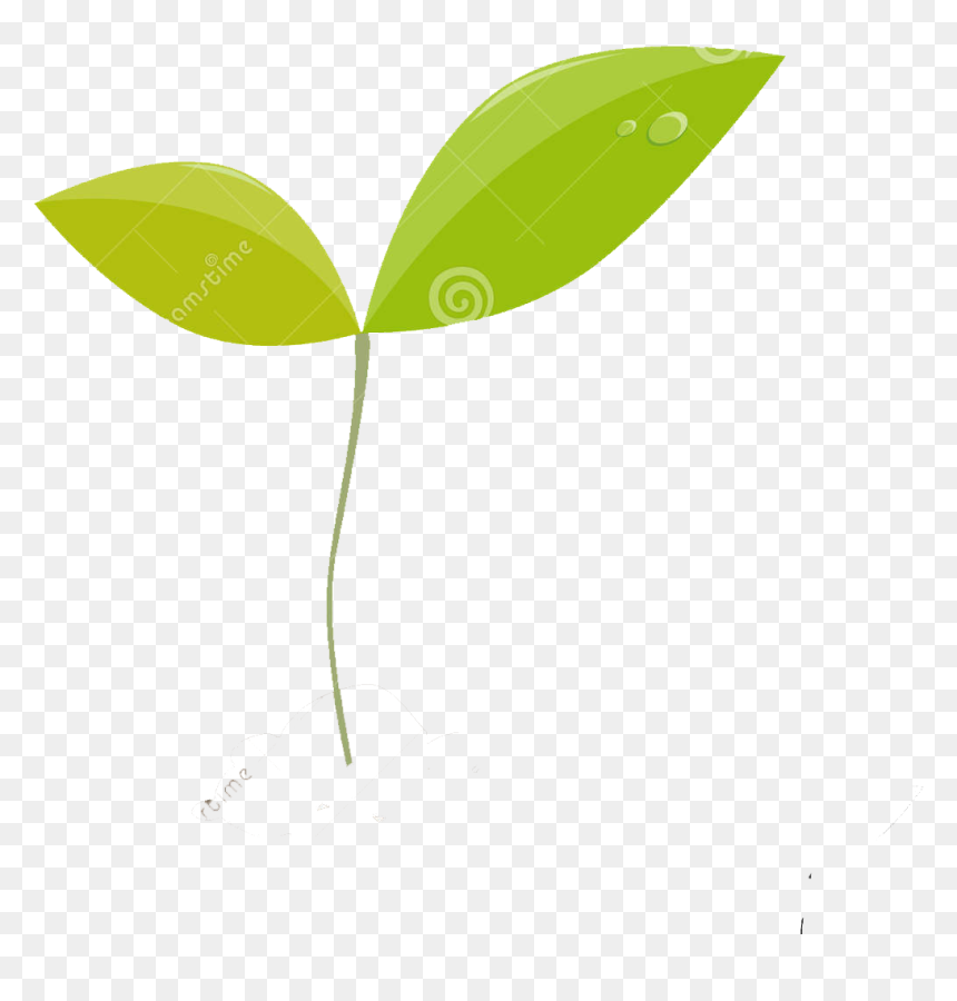 Beaver, Bog, Cattail, Dragonfly, Ecology, Eng, Fen, - Illustration, HD Png Download - cattail png